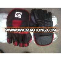 Cricket Wicket Keeping Gloves