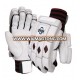 Cricket Batting Gloves